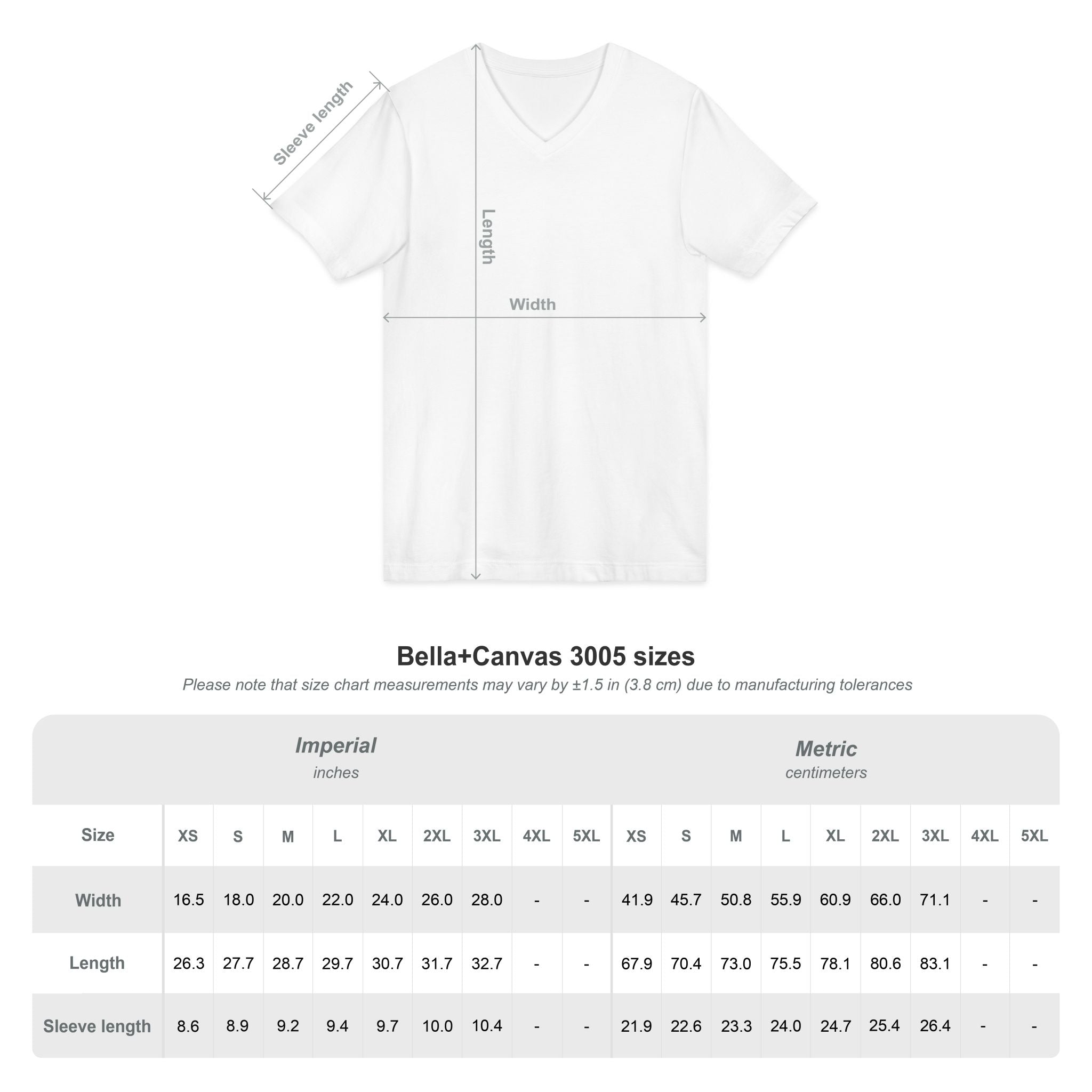 Premium V-Neck T-Shirt